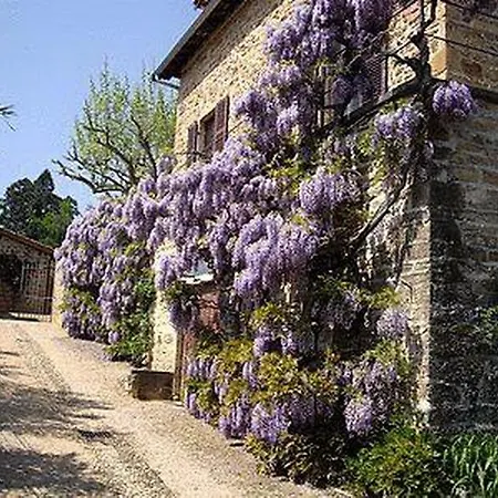 Contact Le Savigny &